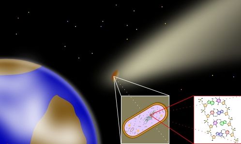 panspermia ? wszechnasienie