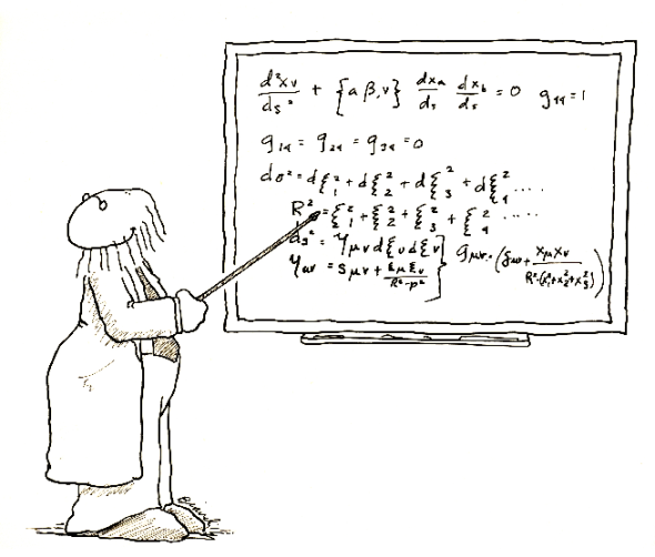 Professor